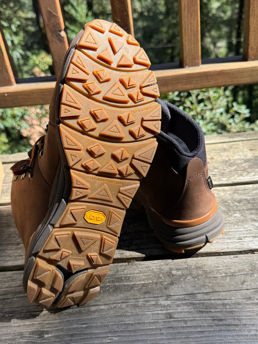 NWT Danner Mountain 600 Leaf GTX Hiking Boots - Men's 11
